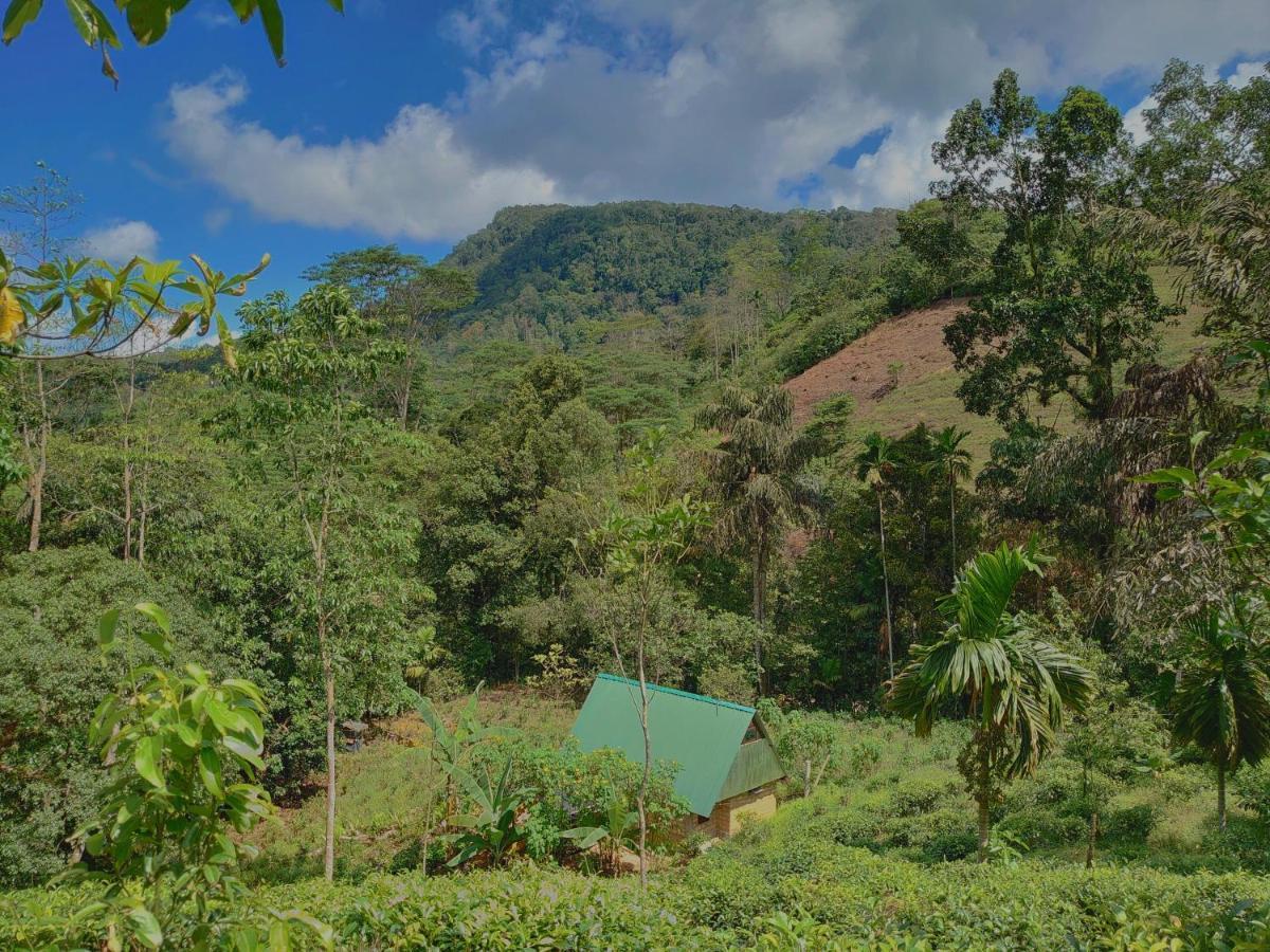 Rainforest Cabin Deniyaya Exterior photo